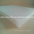 Thickness 20mm PP Honeycomb Core for Boat Manufacturing